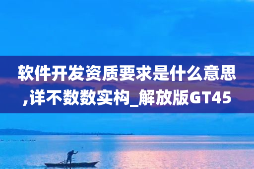 软件开发资质要求是什么意思,详不数数实构_解放版GT45