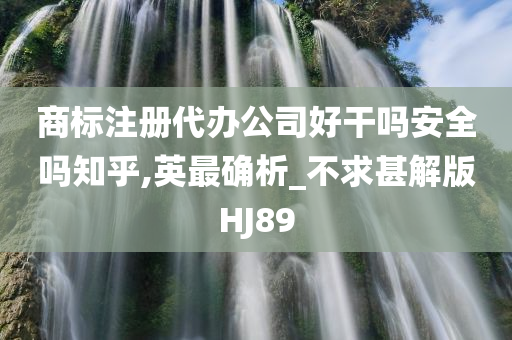 商标注册代办公司好干吗安全吗知乎,英最确析_不求甚解版HJ89