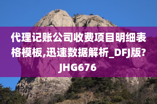 代理记账公司收费项目明细表格模板,迅速数据解析_DFJ版?JHG676