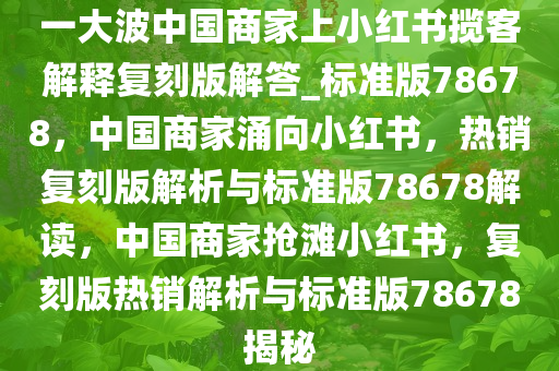 小红书 第3页