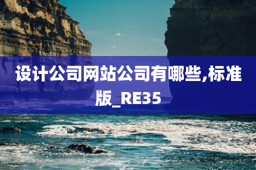 设计公司网站公司有哪些,标准版_RE35