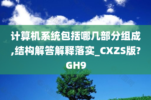 计算机系统包括哪几部分组成,结构解答解释落实_CXZS版?GH9