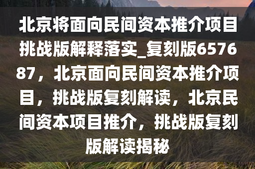 北京将面向民间资本推介项目挑战版解释落实_复刻版657687，北京面向民间资本推介项目，挑战版复刻解读，北京民间资本项目推介，挑战版复刻版解读揭秘