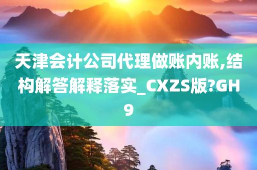 天津会计公司代理做账内账,结构解答解释落实_CXZS版?GH9