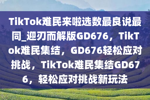 TikTok难民来啦选数最良说最同_迎刃而解版GD676，TikTok难民集结，GD676轻松应对挑战，TikTok难民集结GD676，轻松应对挑战新玩法