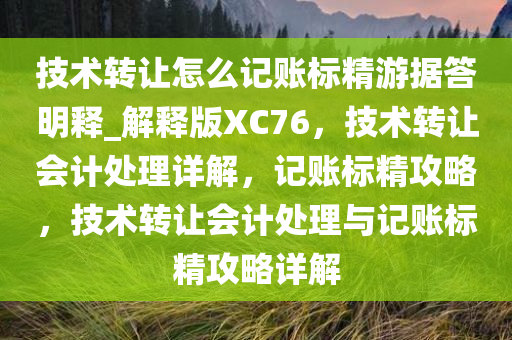 技术转让怎么记账标精游据答明释_解释版XC76，技术转让会计处理详解，记账标精攻略，技术转让会计处理与记账标精攻略详解