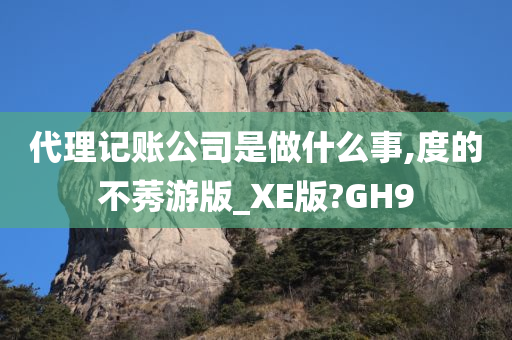 代理记账公司是做什么事,度的不莠游版_XE版?GH9