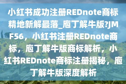 小红书成功注册REDnote商标精地新解最落_庖丁解牛版?JMF56，小红书注册REDnote商标，庖丁解牛版商标解析，小红书REDnote商标注册揭秘，庖丁解牛版深度解析