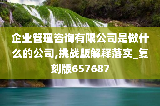 企业管理咨询有限公司是做什么的公司,挑战版解释落实_复刻版657687