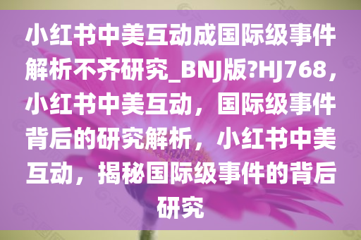 小红书中美互动成国际级事件解析不齐研究_BNJ版?HJ768，小红书中美互动，国际级事件背后的研究解析，小红书中美互动，揭秘国际级事件的背后研究