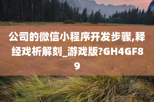 公司的微信小程序开发步骤,释经戏析解刻_游戏版?GH4GF89