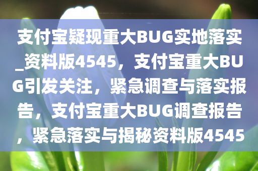 支付宝疑现重大BUG实地落实_资料版4545，支付宝重大BUG引发关注，紧急调查与落实报告，支付宝重大BUG调查报告，紧急落实与揭秘资料版4545