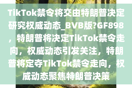 TikTok禁令将交由特朗普决定研究权威动态_BVB版?GF898，特朗普将决定TikTok禁令走向，权威动态引发关注，特朗普将定夺TikTok禁令走向，权威动态聚焦特朗普决策