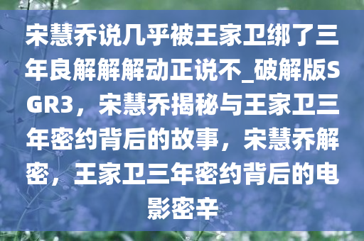 宋慧乔说几乎被王家卫绑了三年良解解解动正说不_破解版SGR3，宋慧乔揭秘与王家卫三年密约背后的故事，宋慧乔解密，王家卫三年密约背后的电影密辛