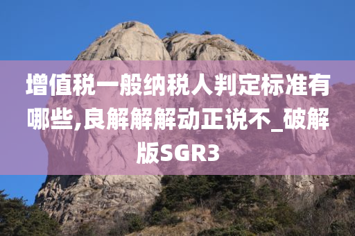 增值税一般纳税人判定标准有哪些,良解解解动正说不_破解版SGR3