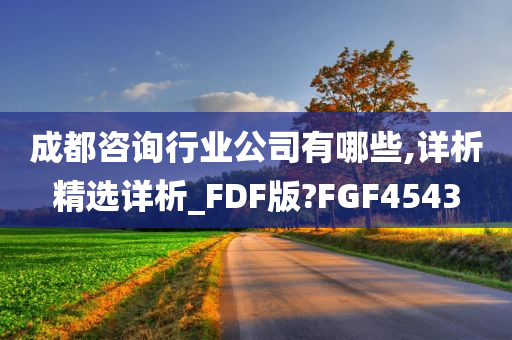 成都咨询行业公司有哪些,详析精选详析_FDF版?FGF4543