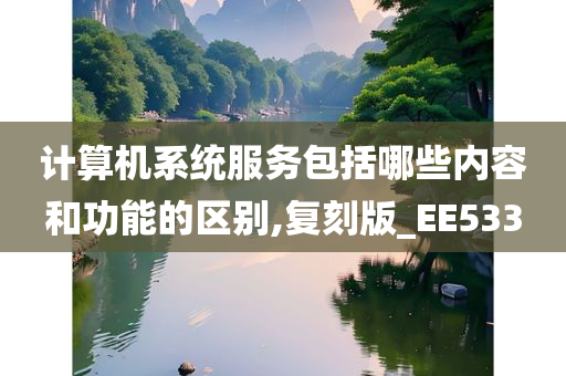 计算机系统服务包括哪些内容和功能的区别,复刻版_EE533