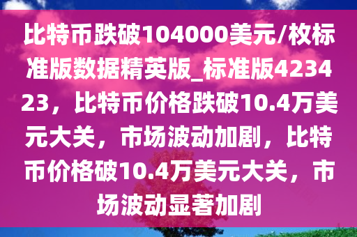 比特币跌破104000美元/枚标准版数据精英版_标准版423423，比特币价格跌破10.4万美元大关，市场波动加剧，比特币价格破10.4万美元大关，市场波动显著加剧