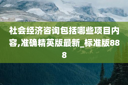 社会经济咨询包括哪些项目内容,准确精英版最新_标准版888