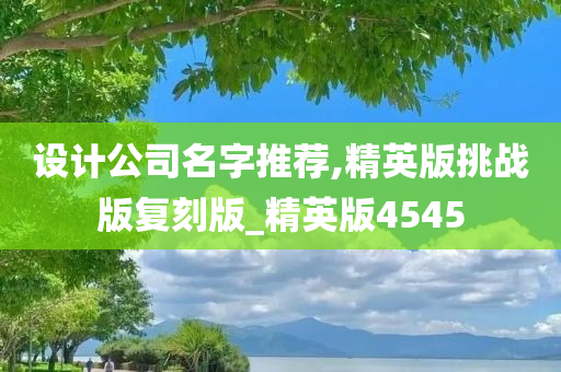 设计公司名字推荐,精英版挑战版复刻版_精英版4545