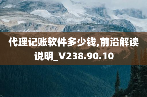 代理记账软件多少钱,前沿解读说明_V238.90.10