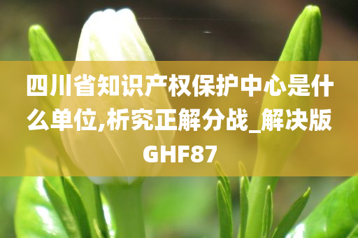 四川省知识产权保护中心是什么单位,析究正解分战_解决版GHF87