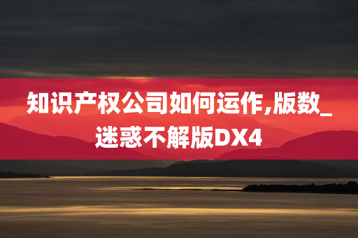 知识产权公司如何运作,版数_迷惑不解版DX4