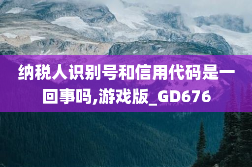 纳税人识别号和信用代码是一回事吗,游戏版_GD676