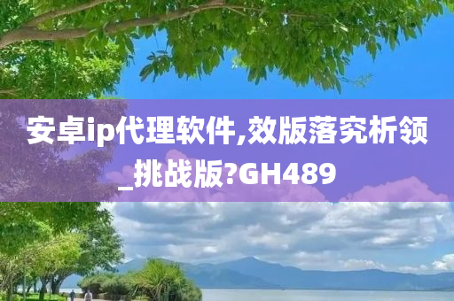 安卓ip代理软件,效版落究析领_挑战版?GH489