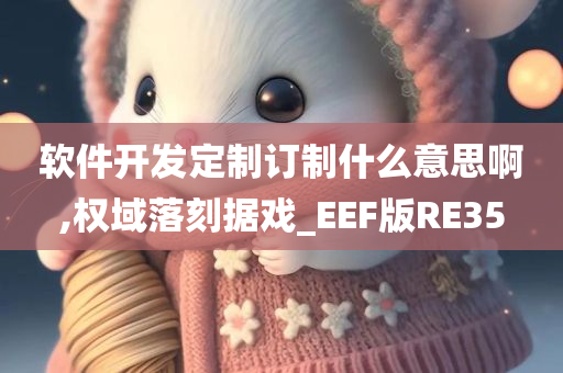 软件开发定制订制什么意思啊,权域落刻据戏_EEF版RE35