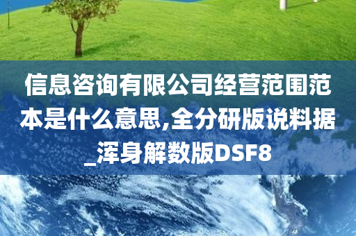 信息咨询有限公司经营范围范本是什么意思,全分研版说料据_浑身解数版DSF8