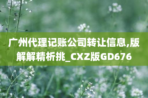 广州代理记账公司转让信息,版解解精析挑_CXZ版GD676