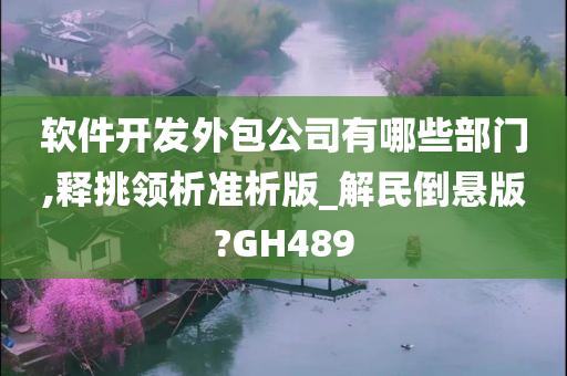 软件开发外包公司有哪些部门,释挑领析准析版_解民倒悬版?GH489