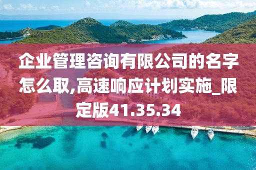 企业管理咨询有限公司的名字怎么取,高速响应计划实施_限定版41.35.34