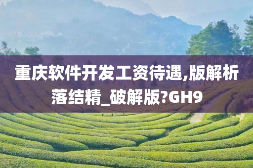 重庆软件开发工资待遇,版解析落结精_破解版?GH9