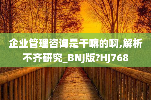 企业管理咨询是干嘛的啊,解析不齐研究_BNJ版?HJ768