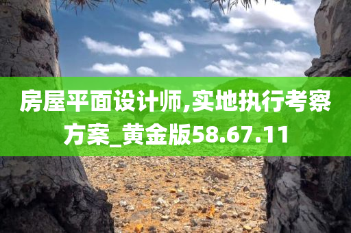 房屋平面设计师,实地执行考察方案_黄金版58.67.11