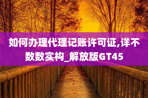 如何办理代理记账许可证,详不数数实构_解放版GT45