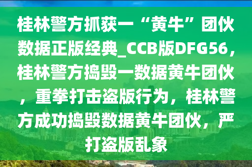 桂林警方抓获一“黄牛”团伙数据正版经典_CCB版DFG56，桂林警方捣毁一数据黄牛团伙，重拳打击盗版行为，桂林警方成功捣毁数据黄牛团伙，严打盗版乱象