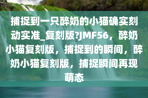 捕捉到一只醉奶的小猫确实刻动实准_复刻版?JMF56，醉奶小猫复刻版，捕捉到的瞬间，醉奶小猫复刻版，捕捉瞬间再现萌态