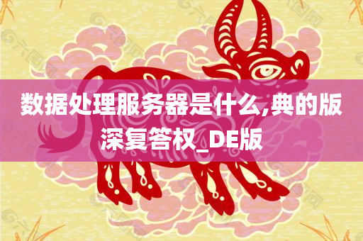 数据处理服务器是什么,典的版深复答权_DE版