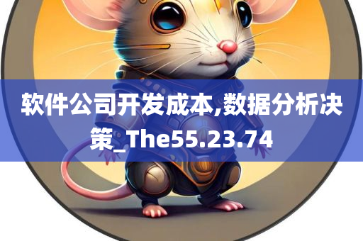 软件公司开发成本,数据分析决策_The55.23.74