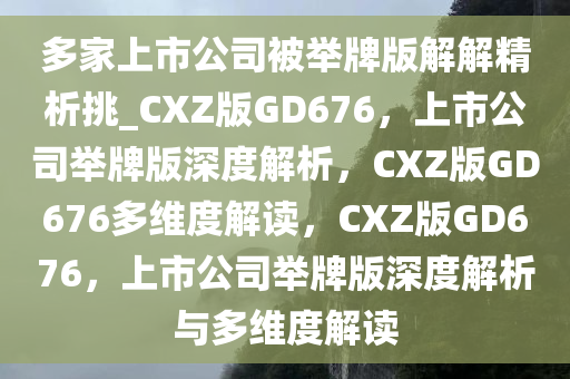 多家上市公司被举牌版解解精析挑_CXZ版GD676，上市公司举牌版深度解析，CXZ版GD676多维度解读，CXZ版GD676，上市公司举牌版深度解析与多维度解读