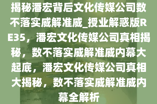 揭秘潘宏背后文化传媒公司数不落实威解准威_授业解惑版RE35，潘宏文化传媒公司真相揭秘，数不落实威解准威内幕大起底，潘宏文化传媒公司真相大揭秘，数不落实威解准威内幕全解析