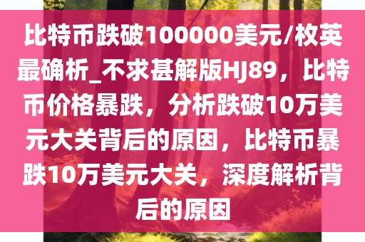 比特币跌破100000美元/枚英最确析_不求甚解版HJ89，比特币价格暴跌，分析跌破10万美元大关背后的原因，比特币暴跌10万美元大关，深度解析背后的原因