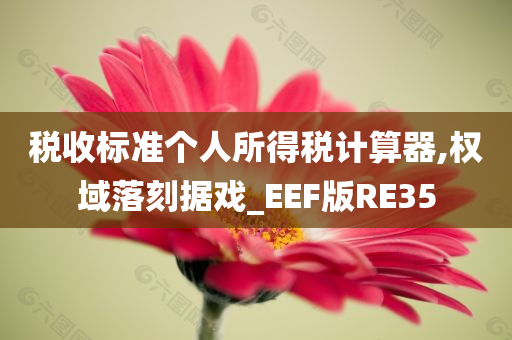 税收标准个人所得税计算器,权域落刻据戏_EEF版RE35