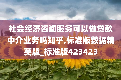 社会经济咨询服务可以做贷款中介业务吗知乎,标准版数据精英版_标准版423423