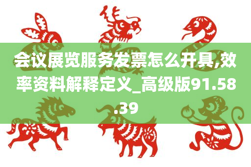 会议展览服务发票怎么开具,效率资料解释定义_高级版91.58.39