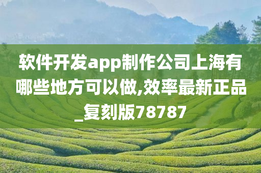 软件开发app制作公司上海有哪些地方可以做,效率最新正品_复刻版78787