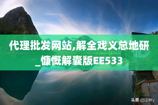 代理批发网站,解全戏义总地研_慷慨解囊版EE533